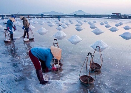 salt-field-phan-rang Tắm Bùn tại đảo Hòn Tằm